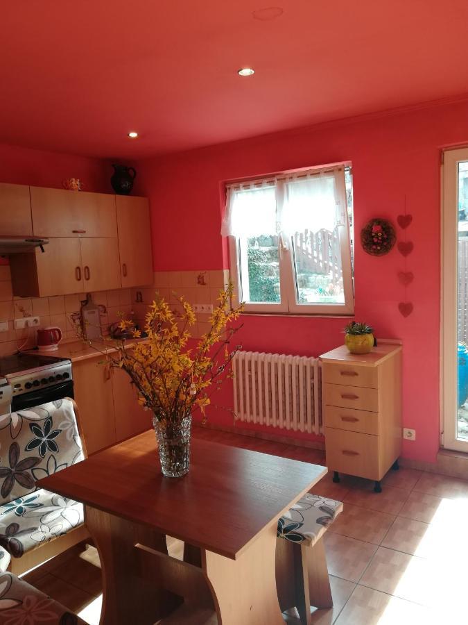 Prazdninovy Byt Arin Apartment Jachymov Ngoại thất bức ảnh