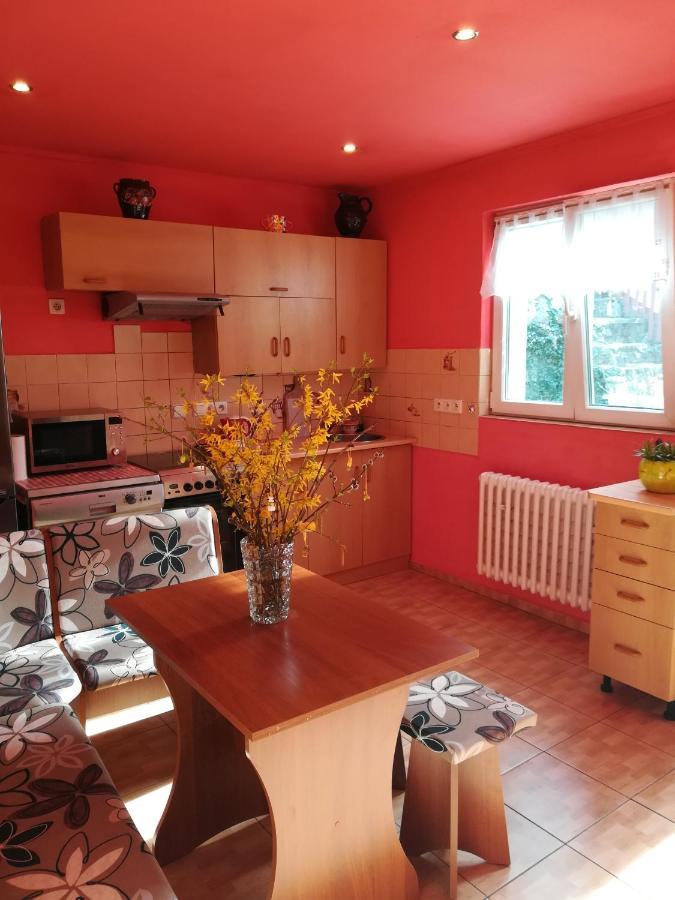Prazdninovy Byt Arin Apartment Jachymov Ngoại thất bức ảnh